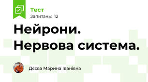 Нейрони. Нервова система.