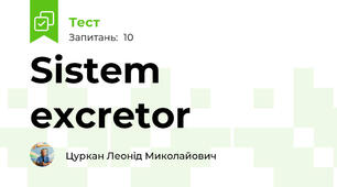 Sistem  excretor