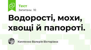 Водорості, мохи, хвощі й папороті.