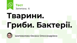 Тварини. Гриби. Бактерії.