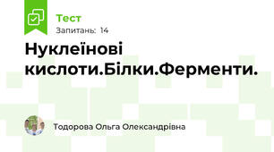 Нуклеїнові кислоти.Білки.Ферменти.