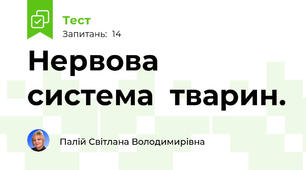 Нервова система  тварин.