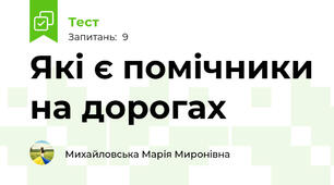 Які є помічники на дорогах
