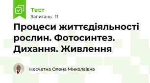 Процеси життєдіяльності рослин. Фотосинтез. Дихання. Живлення