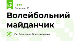 Волейбольний майданчик