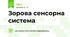 Зорова сенсорна система