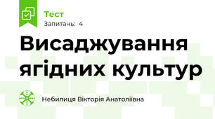 Висаджування ягідних культур