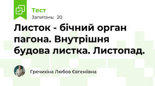  Листок - бічний орган пагона. Внутрішня будова листка. Листопад.