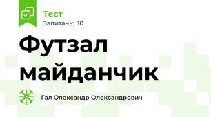 Футзал майданчик