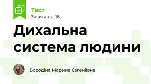 Дихальна система людини
