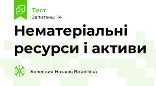 Нематеріальні ресурси і активи