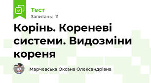 Корінь. Кореневі системи. Видозміни кореня