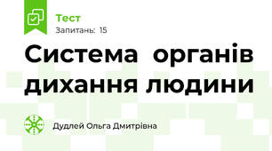 Система  органів дихання людини