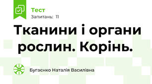 Тканини і органи  рослин. Корінь.