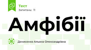  Амфібії