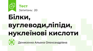 Білки, вуглеводи,ліпіди, нуклеїнові кислоти