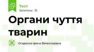 Органи чуття тварин
