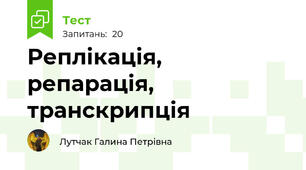 Реплікація, репарація, транскрипція