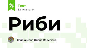 Риби