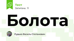 Болота