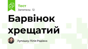 Барвінок хрещатий