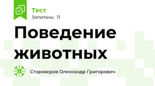 Поведение животных