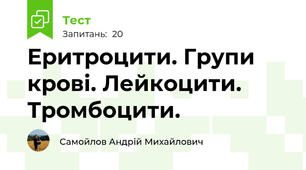 Еритроцити. Групи крові. Лейкоцити. Тромбоцити.
