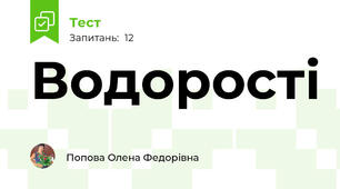 Водорості