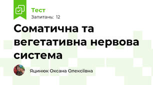 Соматична та вегетативна нервова система
