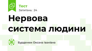 Нервова система людини