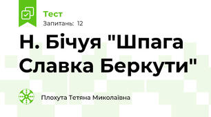 Н. Бічуя "Шпага Славка Беркути"