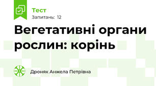 Вегетативні органи рослин: корінь