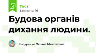 Будова органів дихання людини.