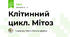 Клітинний цикл. Мітоз