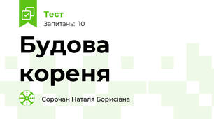Будова кореня