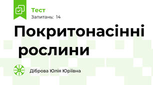 Покритонасінні  рослини