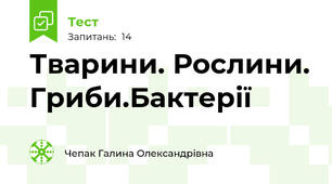 Тварини. Рослини. Гриби.Бактерії