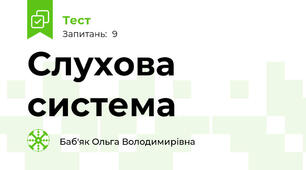 Слухова система