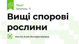 Вищі спорові рослини