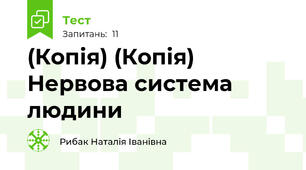 (Копія) (Копія) Нервова система людини