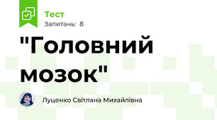 "Головний мозок"