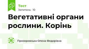 Вегетативні органи рослини. Корінь