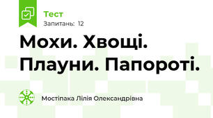 Мохи. Хвощі. Плауни. Папороті.