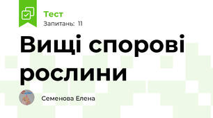 Вищі спорові рослини
