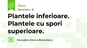 Plantele inferioare. Plantele cu spori superioare.