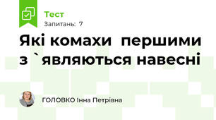 Які комахи  першими з `являються навесні