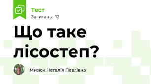 Що таке лісостеп?