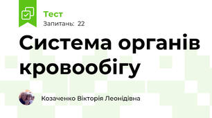 Система органів кровообігу