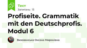 Profiseite. Grammatik mit den Deutschprofis. Modul 6