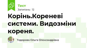 Корінь.Кореневі системи. Видозміни кореня.